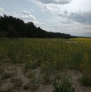 Комерційне будівництво м2, участок 193 сот.